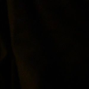 Meet your Posher, Averi